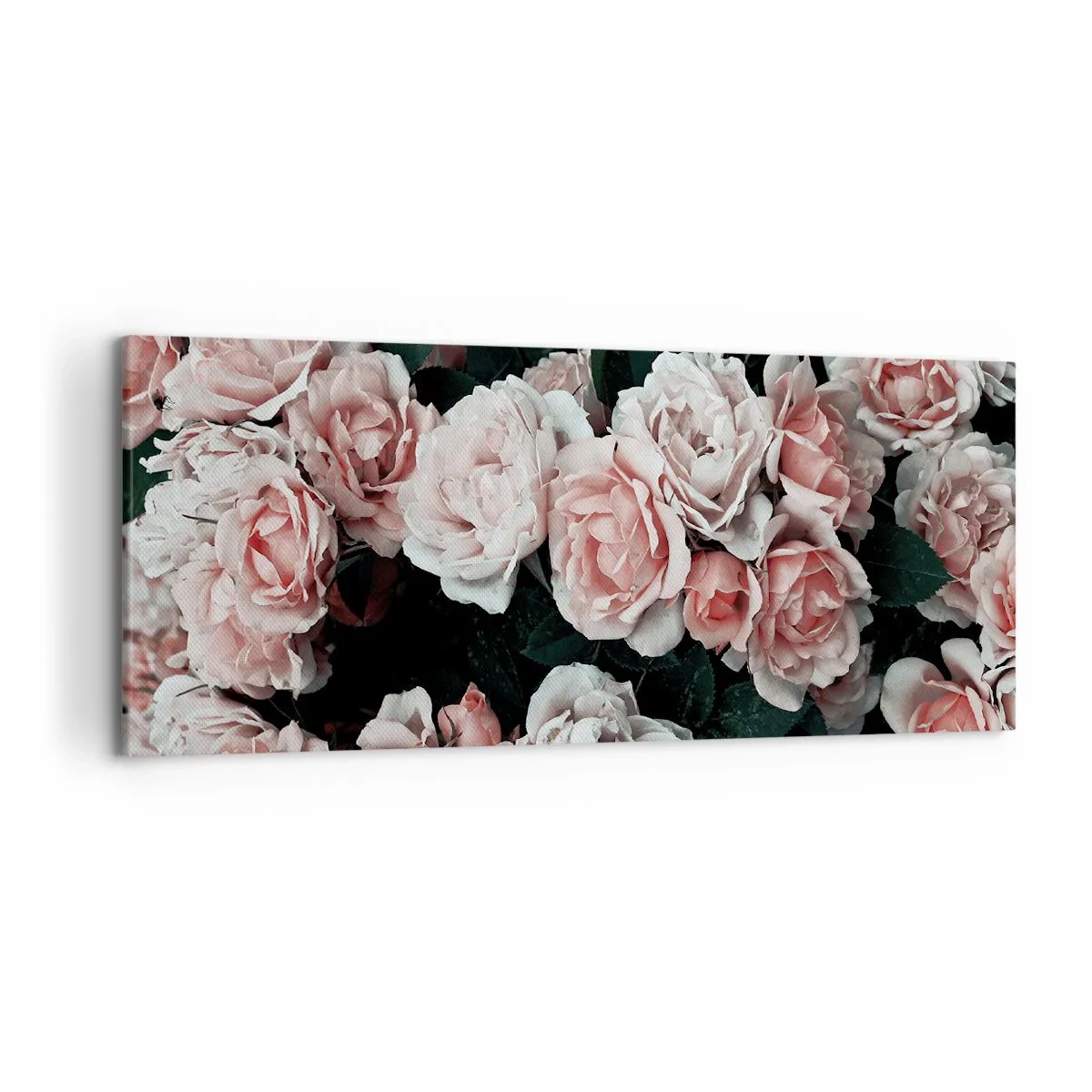 Canvastavla - Bild på duk - Rosansamble - 120x50 cm