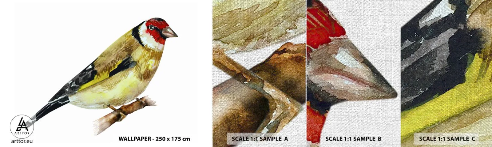 Provbit av fototapet Premium Canvas - Fågelporträtt - Steglits, Fågel, Bit - 100x30 cm