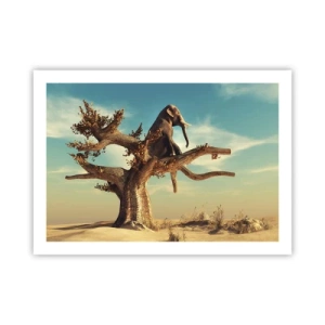 Affisch - Ny synvinkel - 70x50 cm