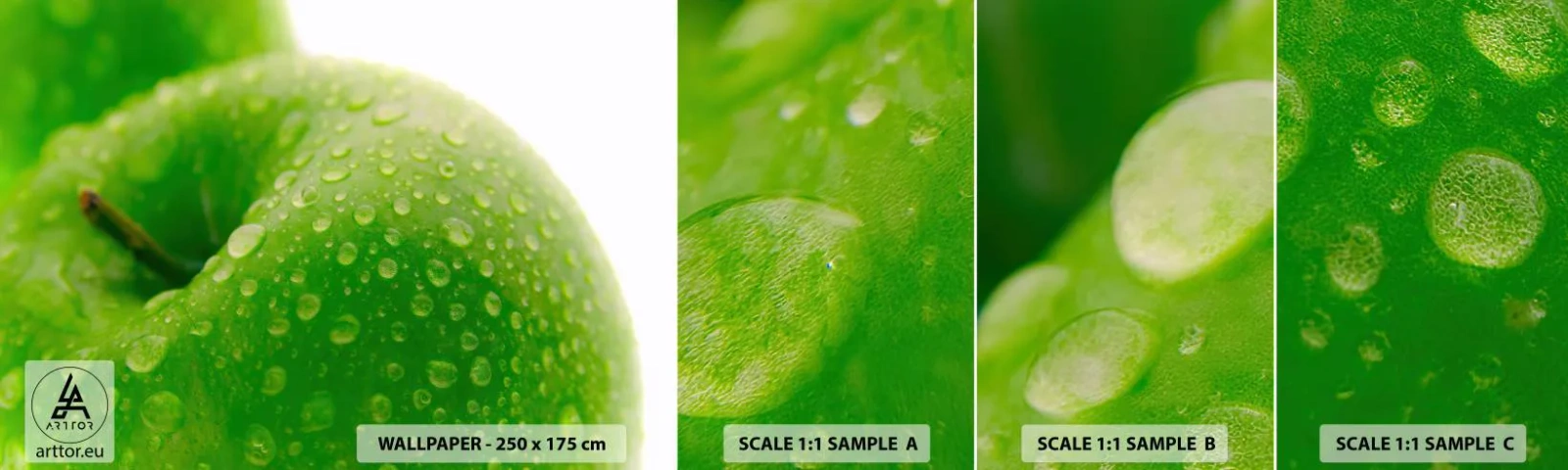 Fototapet Prov Standard Eco - Kylig grön fräschhet - Frukt, Äpple, Gastronomi - 100x30 cm