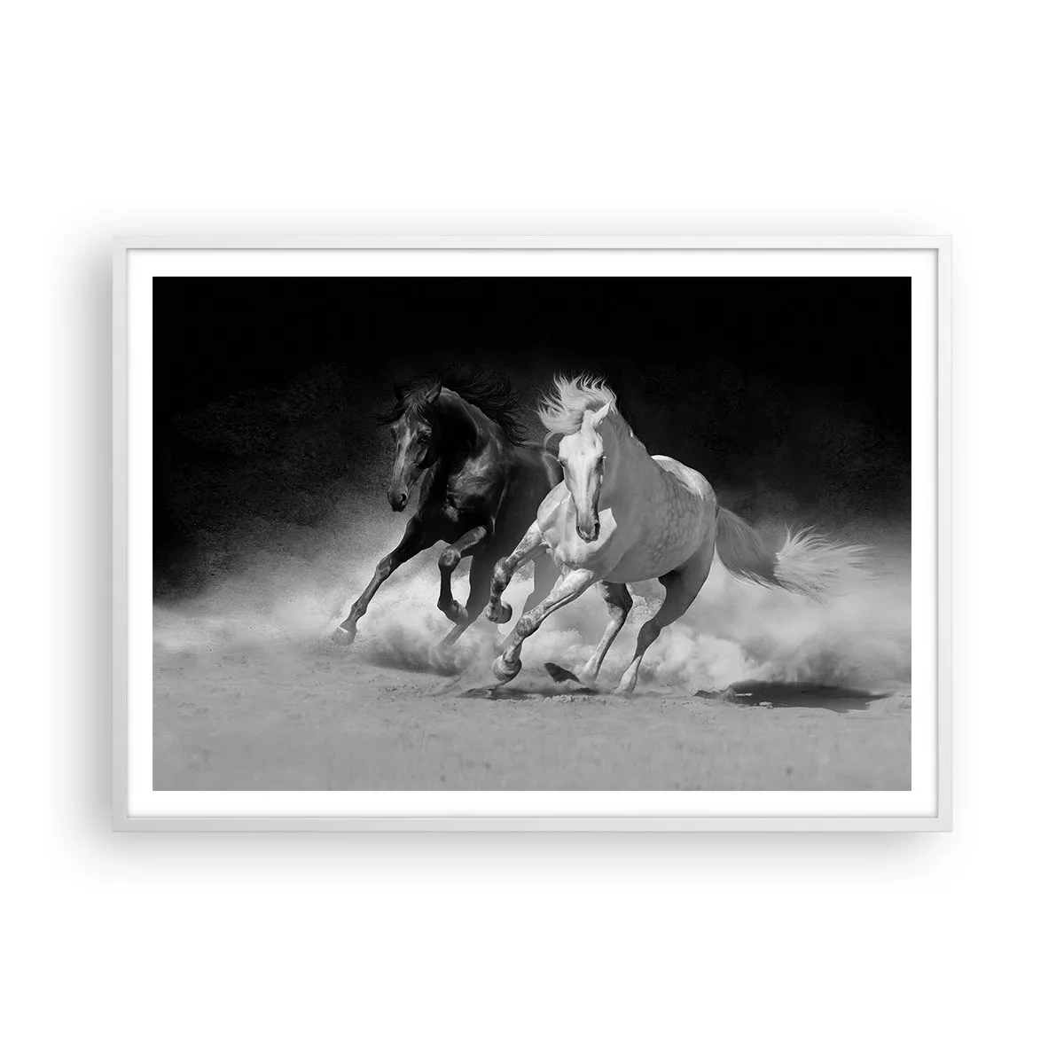 Affisch i vit ram - Frihetens galopp - 100x70 cm