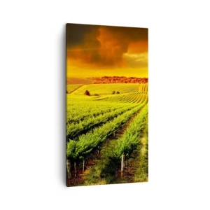 Canvastavla - Bild på duk - Under australiensiska solen - 45x80 cm