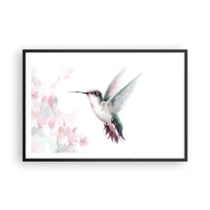 Affisch i svart ram - Fångad flaxande - 91x61 cm