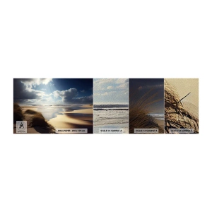 Provbit av fototapet Premium Sand - Strand, vild strand - Strand, Hav, Sanddyner - 100x30 cm
