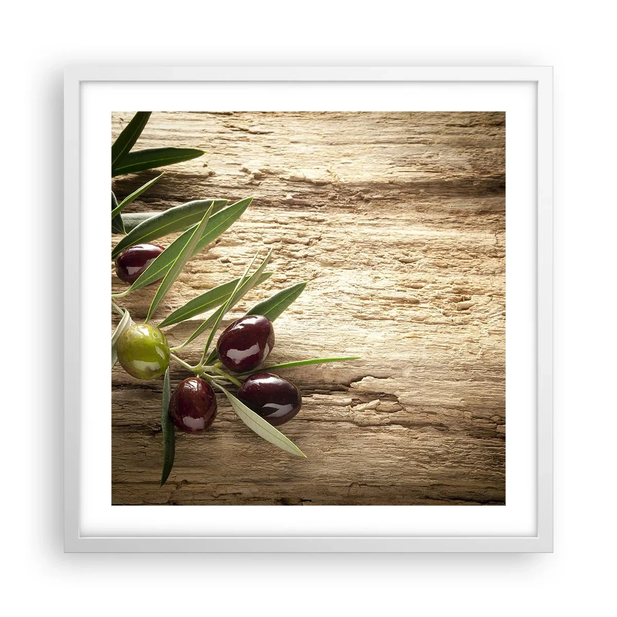 Affisch i vit ram - Direkt från naturen - 50x50 cm