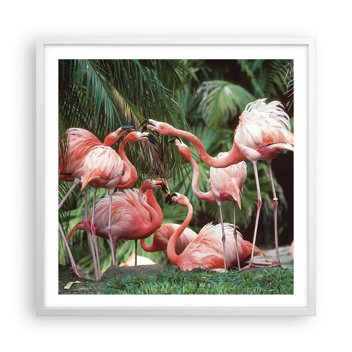 Affisch i vit ram - Eftermiddags skvaller - 60x60 cm