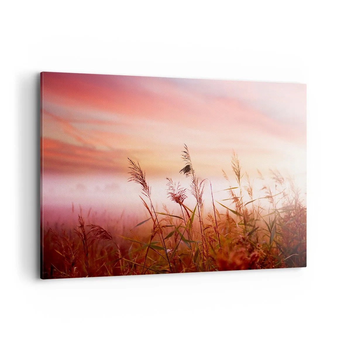 Canvastavla - Bild på duk - Drakar, maskrosor, vind - 120x80 cm