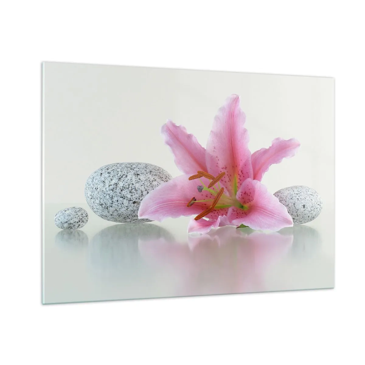Glastavla - Bild på glas - En studie i rosa, grå och vit - 100x70 cm