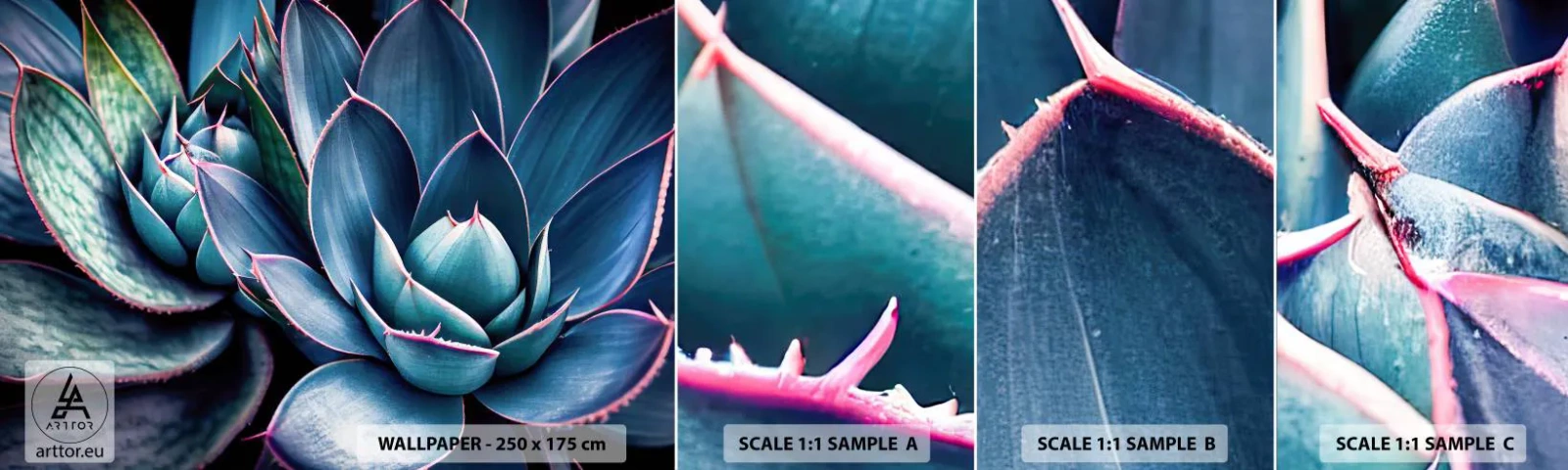 Fototapet Prov Standard Eco - Vital kraft - Blommor, Botanik, Suckulenter - 100x30 cm