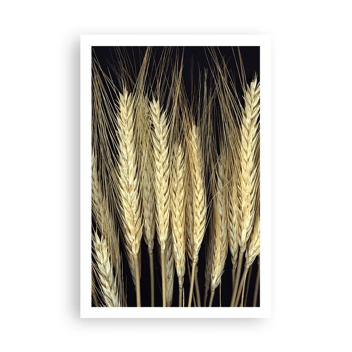 Affisch - Rustik magi - 61x91 cm