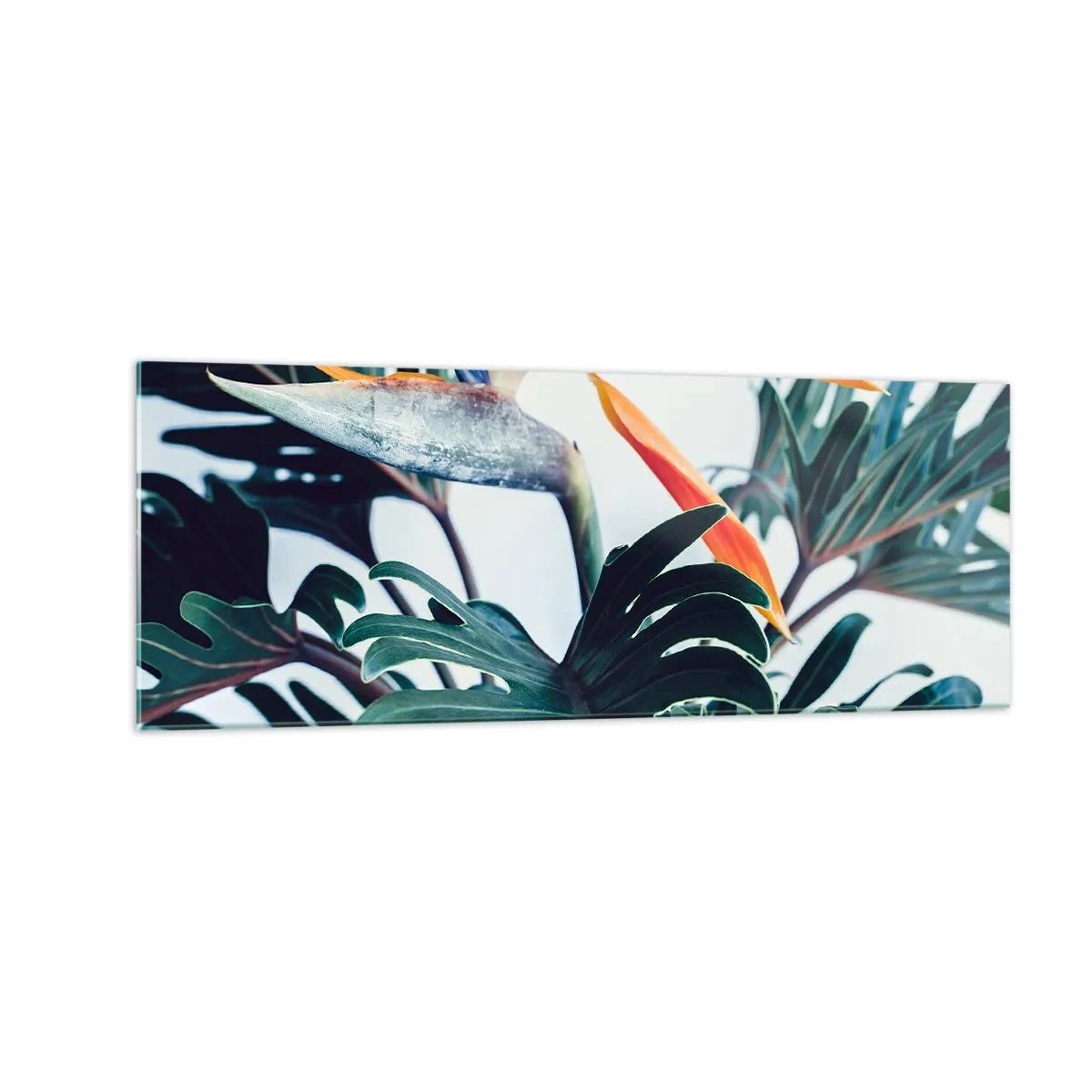 Glastavla - Bild på glas - Fågelbuske - 140x50 cm