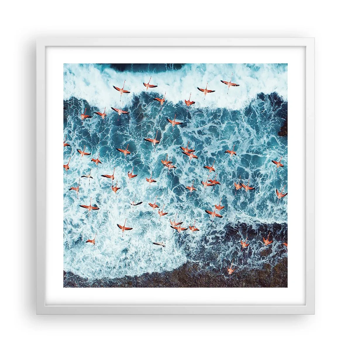 Affisch i vit ram - Kustparad - 50x50 cm