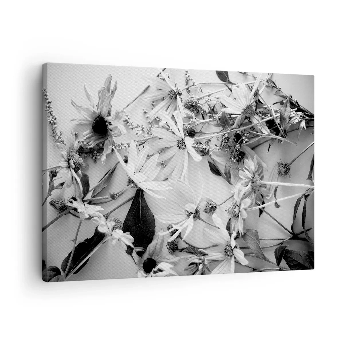 Canvastavla - Bild på duk - Svartvita blomsterarrangemang i en subtil konstnärlig stil - 70x50cm - Icke-blombukett - Modern väggdekoration för vardagsrum och sovrum ARTTOR