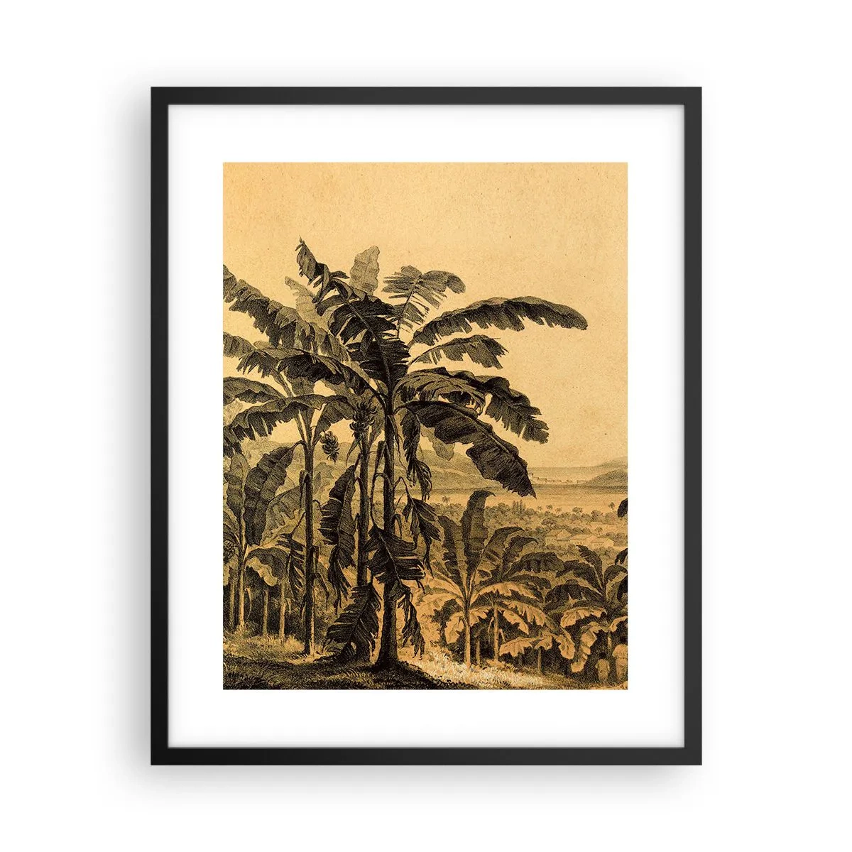 Affisch i svart ram - I kolonial stämning - 40x50 cm