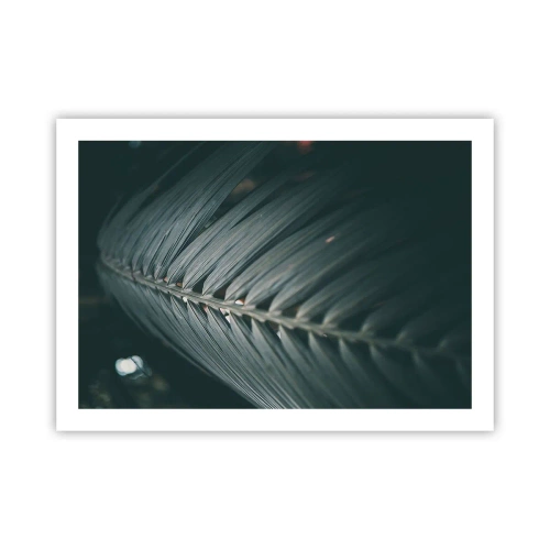 Affisch - Naturens precision - 70x50 cm
