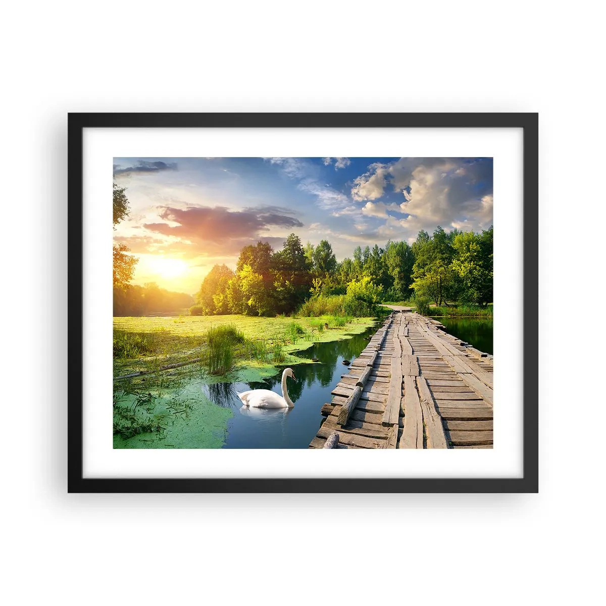 Affisch i svart ram - Sommar, sommar överallt - 50x40 cm