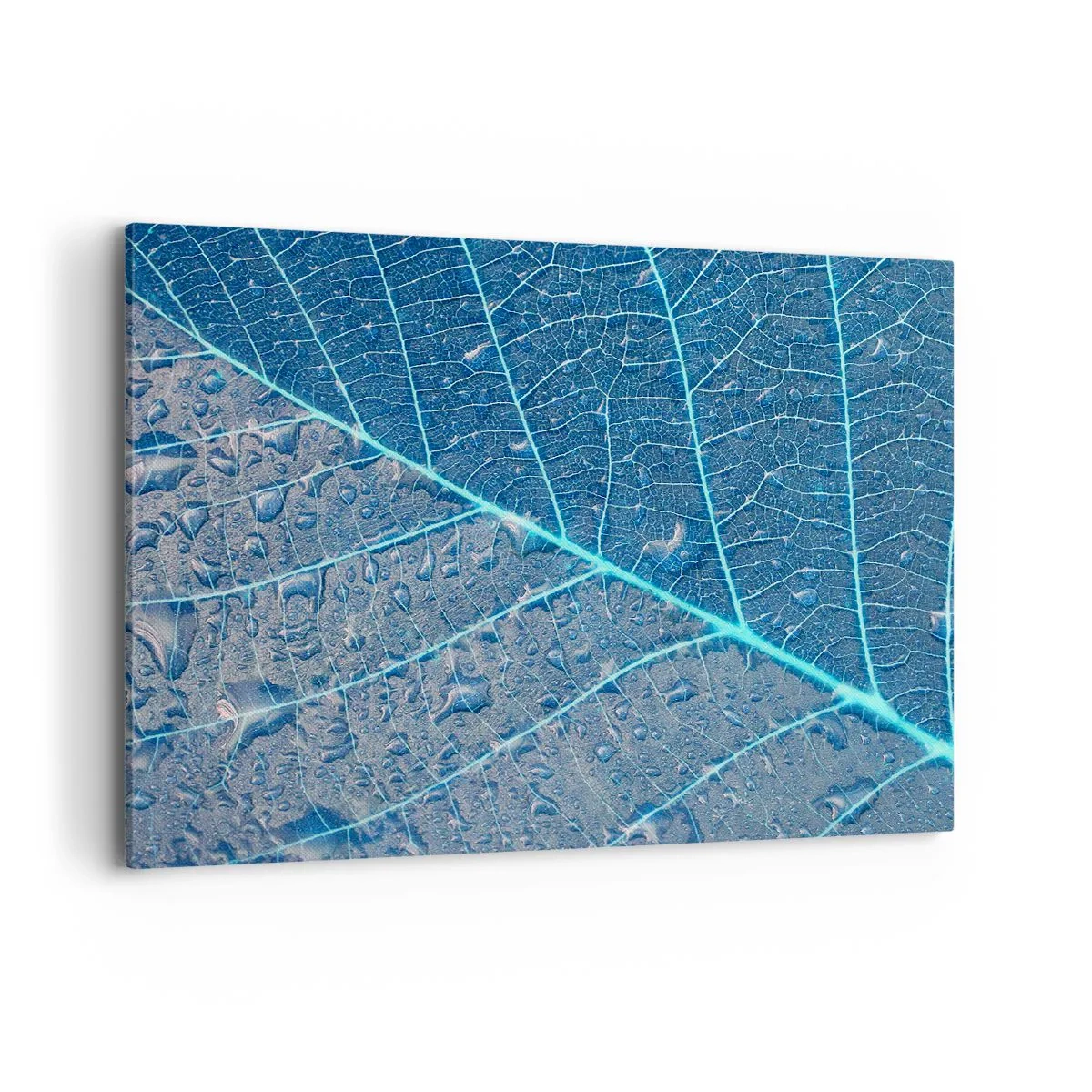 Canvastavla - Bild på duk - Livet i det blåa - 100x70 cm