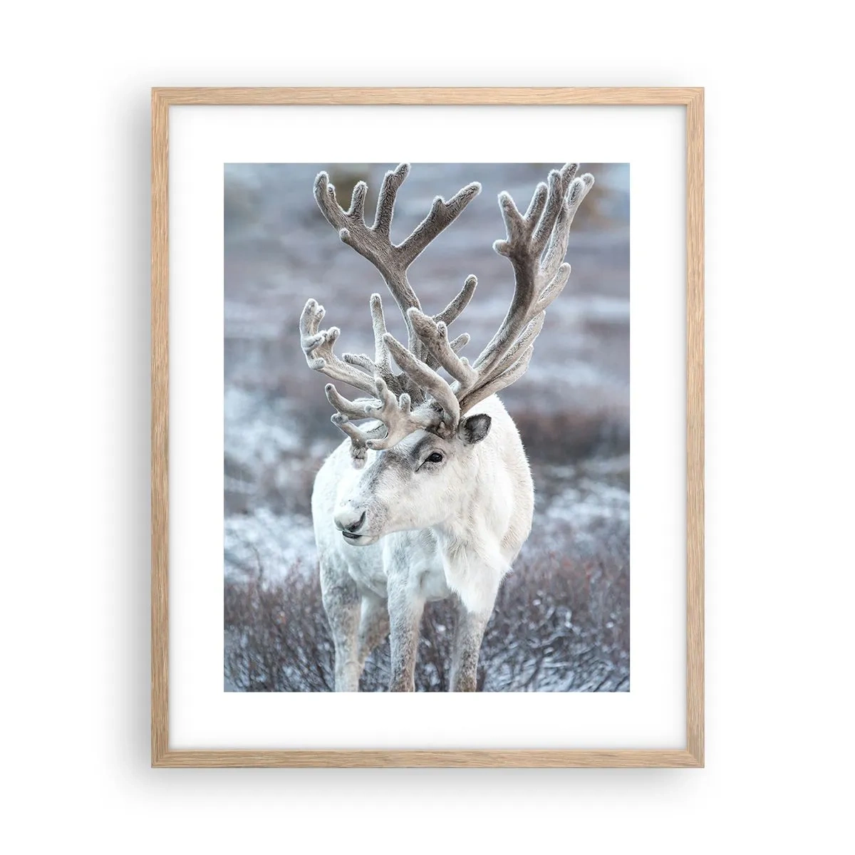 Affisch i ram av ljusek - Porträtt i solsken - 40x50 cm