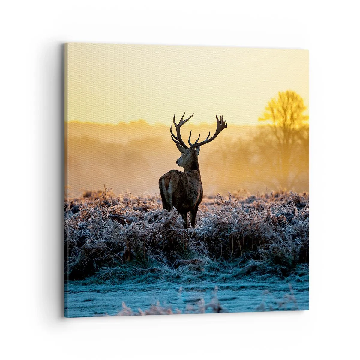 Canvastavla - Bild på duk - Krönt på sin mark - 70x70 cm