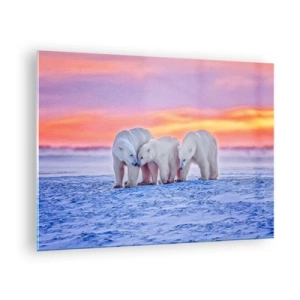 Glastavla - Bild på glas - Tre isbjörnar på en snöig bakgrund vid solnedgången - 70x50cm - Det räcker med familjevärme - Modern väggdekoration för vardagsrum och sovrum ARTTOR