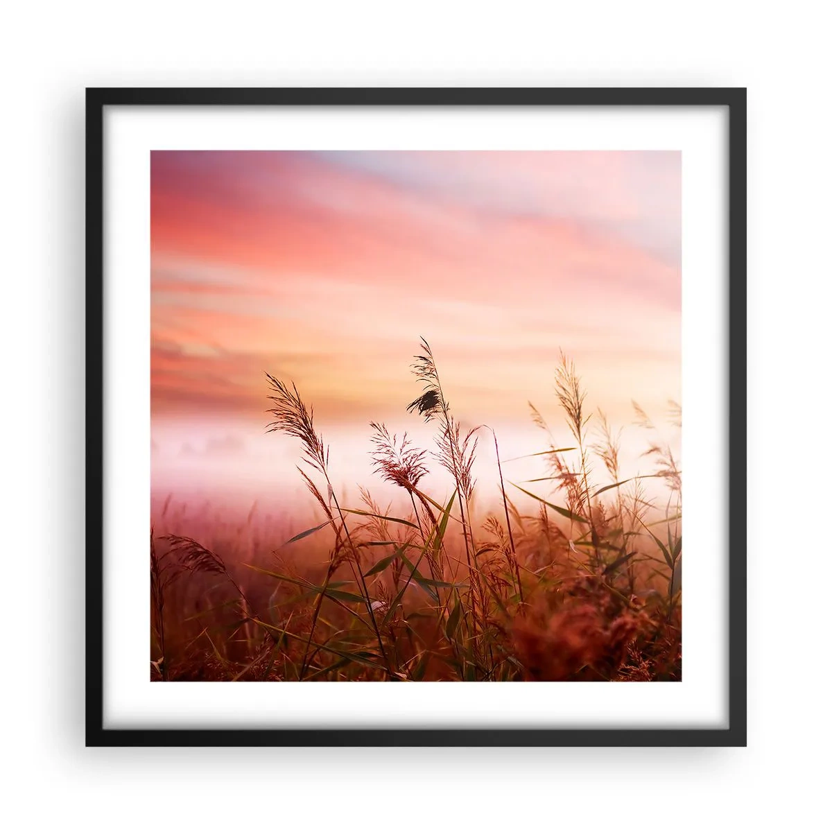 Affisch i svart ram - Drakar, maskrosor, vind - 50x50 cm