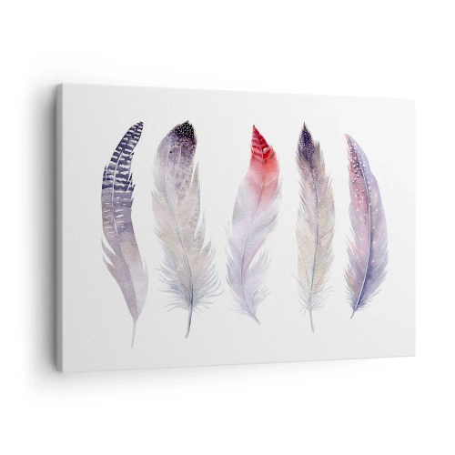 Canvastavla - Bild på duk - Fem fina fjädrar i pastellfärger mot en ljus bakgrund - 70x50cm - Fin som färgrik dimma - Modern väggdekoration för vardagsrum och sovrum ARTTOR
