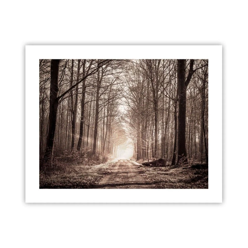 Affisch - Skogens domkyrka - 50x40 cm