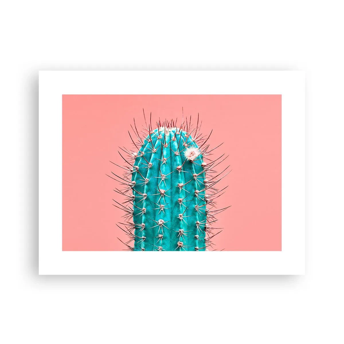 Affisch - Titta bara - 40x30 cm