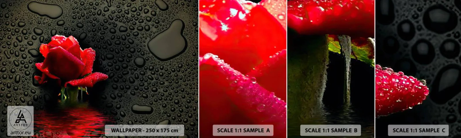 Fototapet Prov Standard Eco - Röd och svart - Blommor, Reste sig, Vatten - 100x30 cm