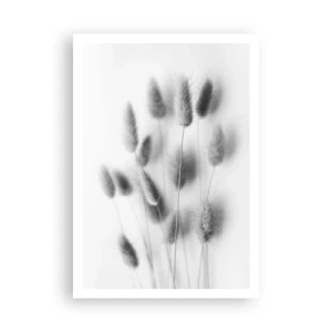 Affisch - Fluffigt gräs - 70x100 cm