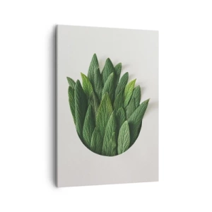 Canvastavla - Bild på duk - Ostoppbar nyfikenhet - 50x70 cm