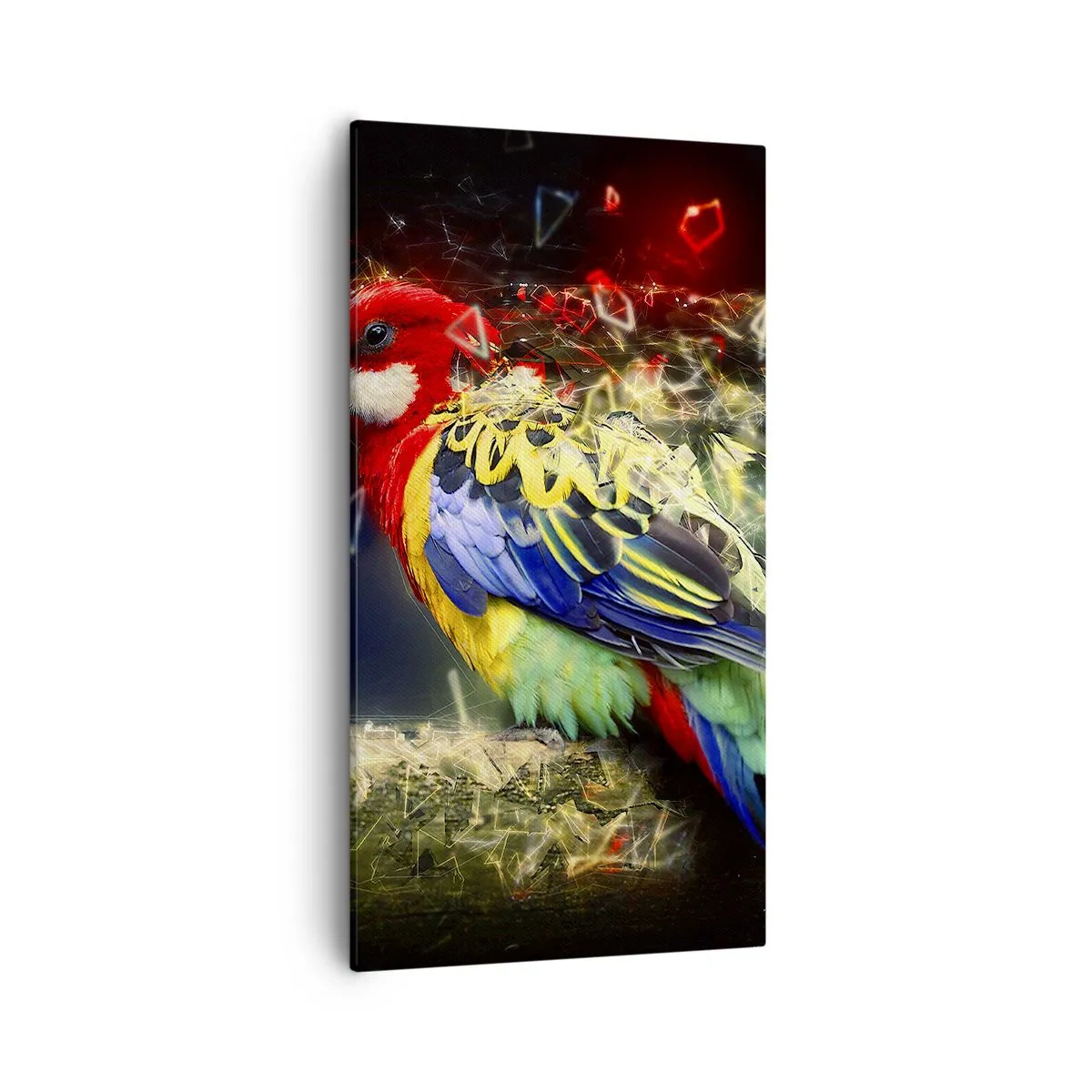 Canvastavla - Bild på duk - Skenets bud - 55x100 cm