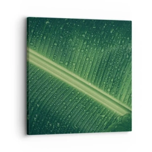Canvastavla - Bild på duk - Grönskans struktur - 30x30 cm