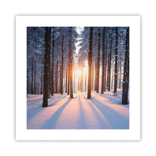 Affisch - Tydligt svart på vitt - 40x40 cm