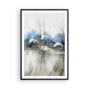 Affisch i svart ram - Som i en saga om vilda svanar - 61x91 cm