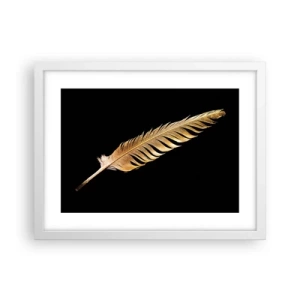 Affisch i vit ram - Fjäder... - 40x30 cm