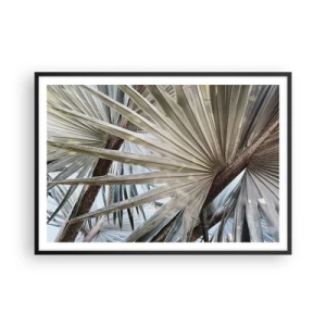 Affisch i svart ram - Solfjädrarna i tropikerna - 100x70 cm