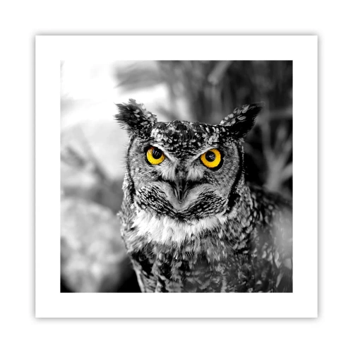 Affisch - Inget kommer undan - 40x40 cm