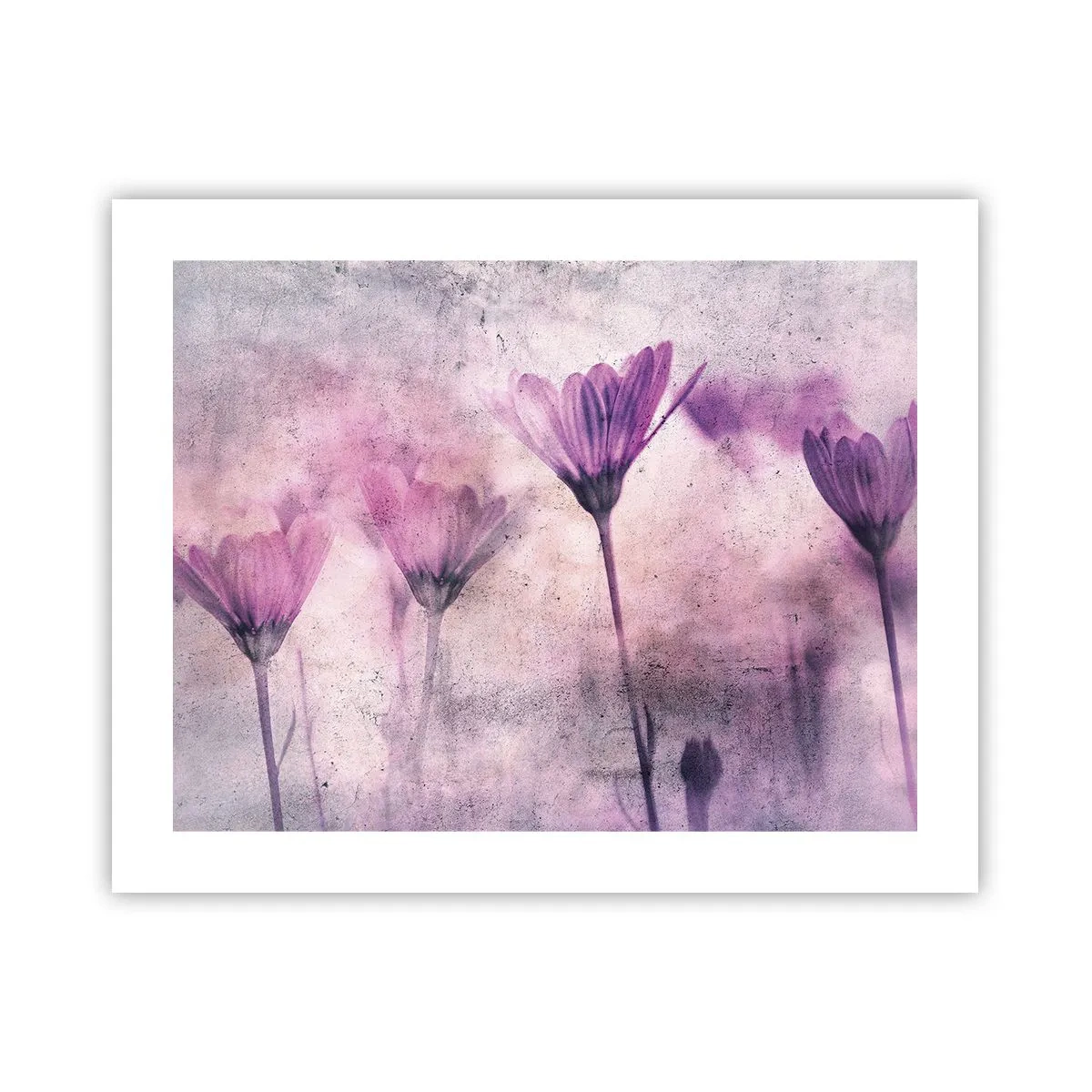 Affisch - Blommornas sömn - 50x40 cm