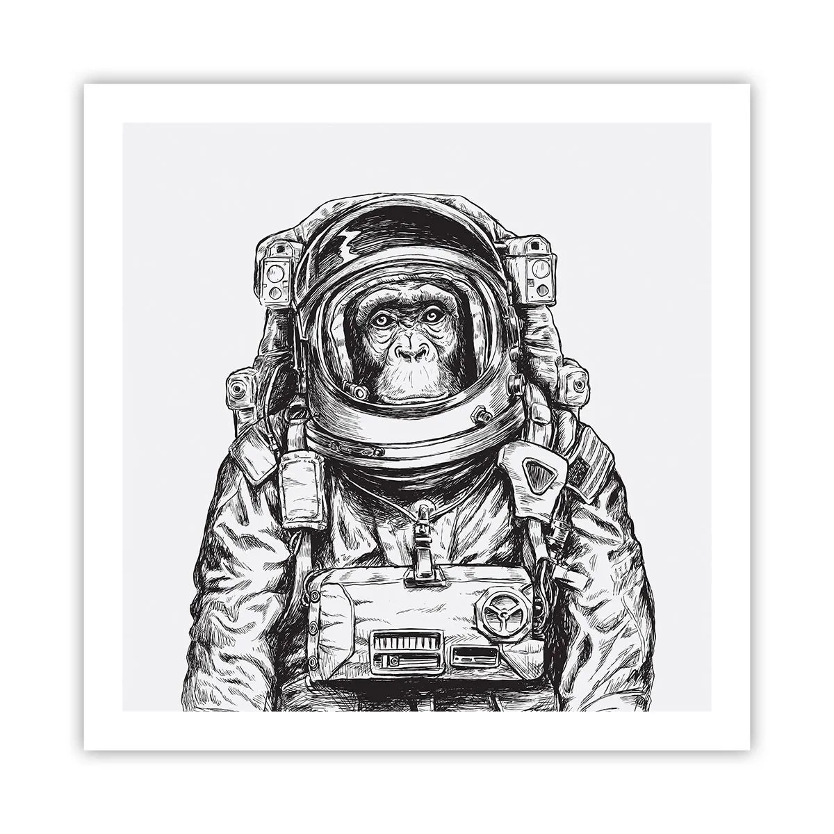 Affisch - Alternativ evolution - 60x60 cm