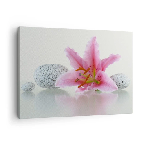 Canvastavla - Bild på duk - Rosa liljablomma med stenar på en ljus bakgrund - 70x50cm - En studie i rosa, grå och vit - Modern väggdekoration för vardagsrum och sovrum ARTTOR