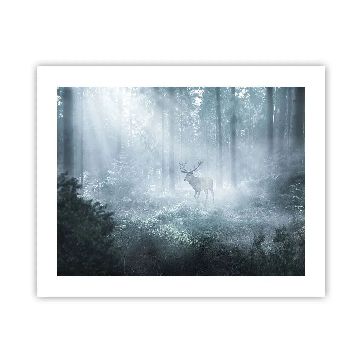 Affisch - Morgonrond runt godset - 50x40 cm