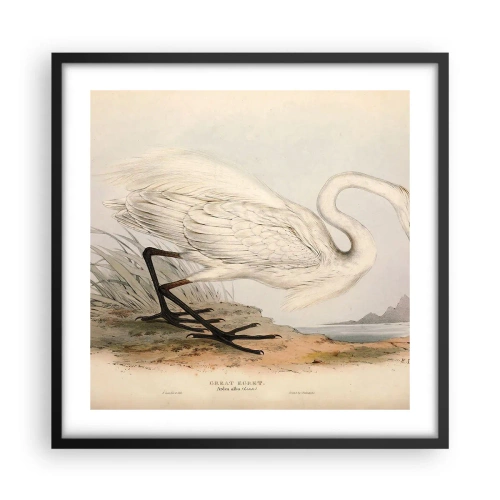 Affisch i svart ram - En dam i vassen - 50x50 cm