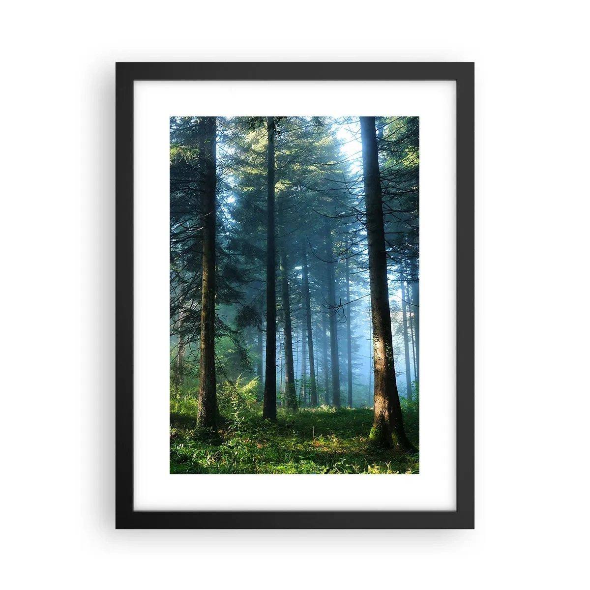 Affisch i svart ram - Strålande på morgonen - 30x40 cm