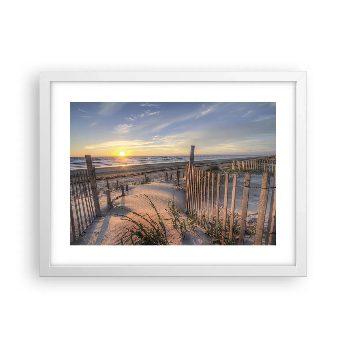 Affisch i vit ram - Vindens sken och skugga - 40x30 cm