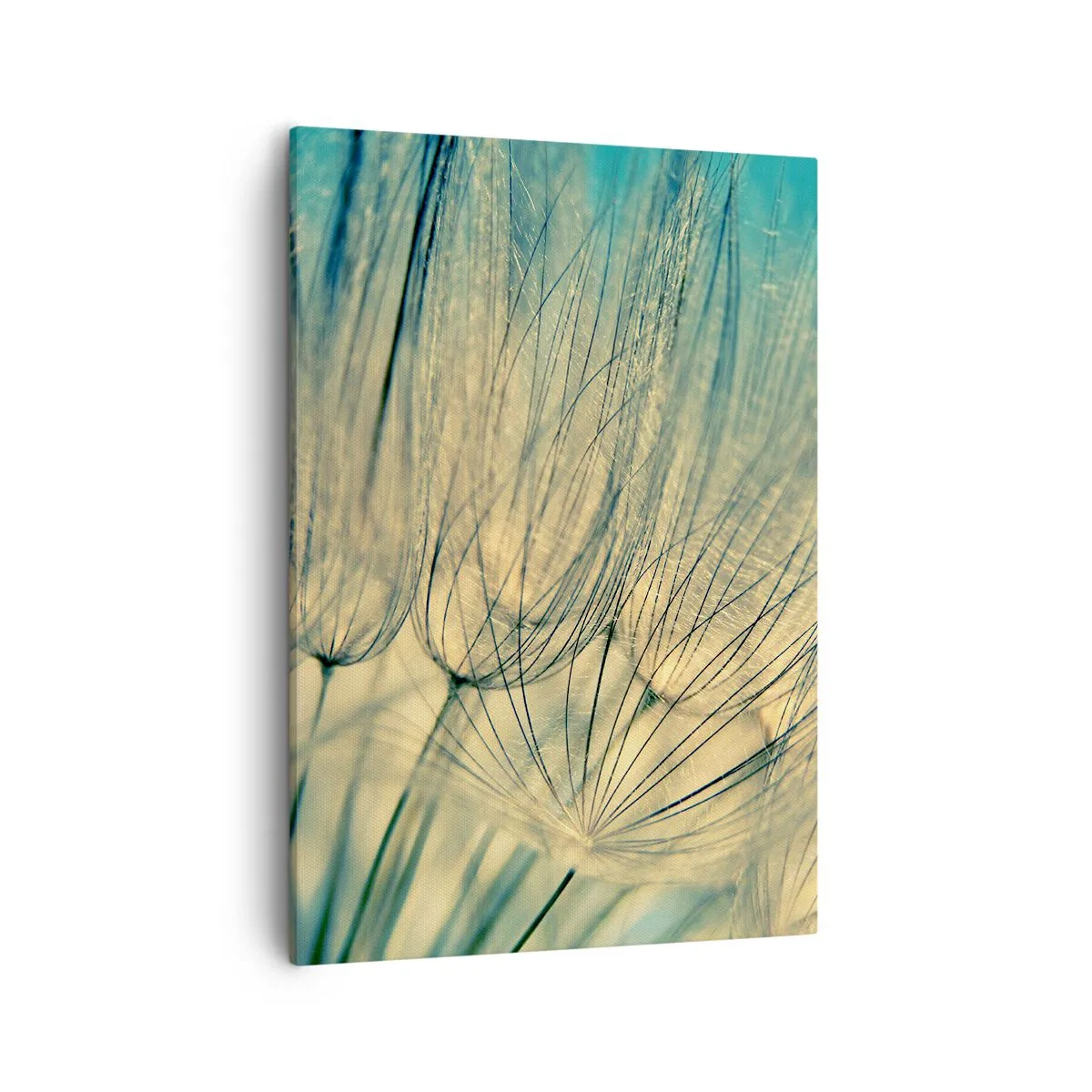 Canvastavla - Bild på duk - I väntan på vinden - 50x70 cm