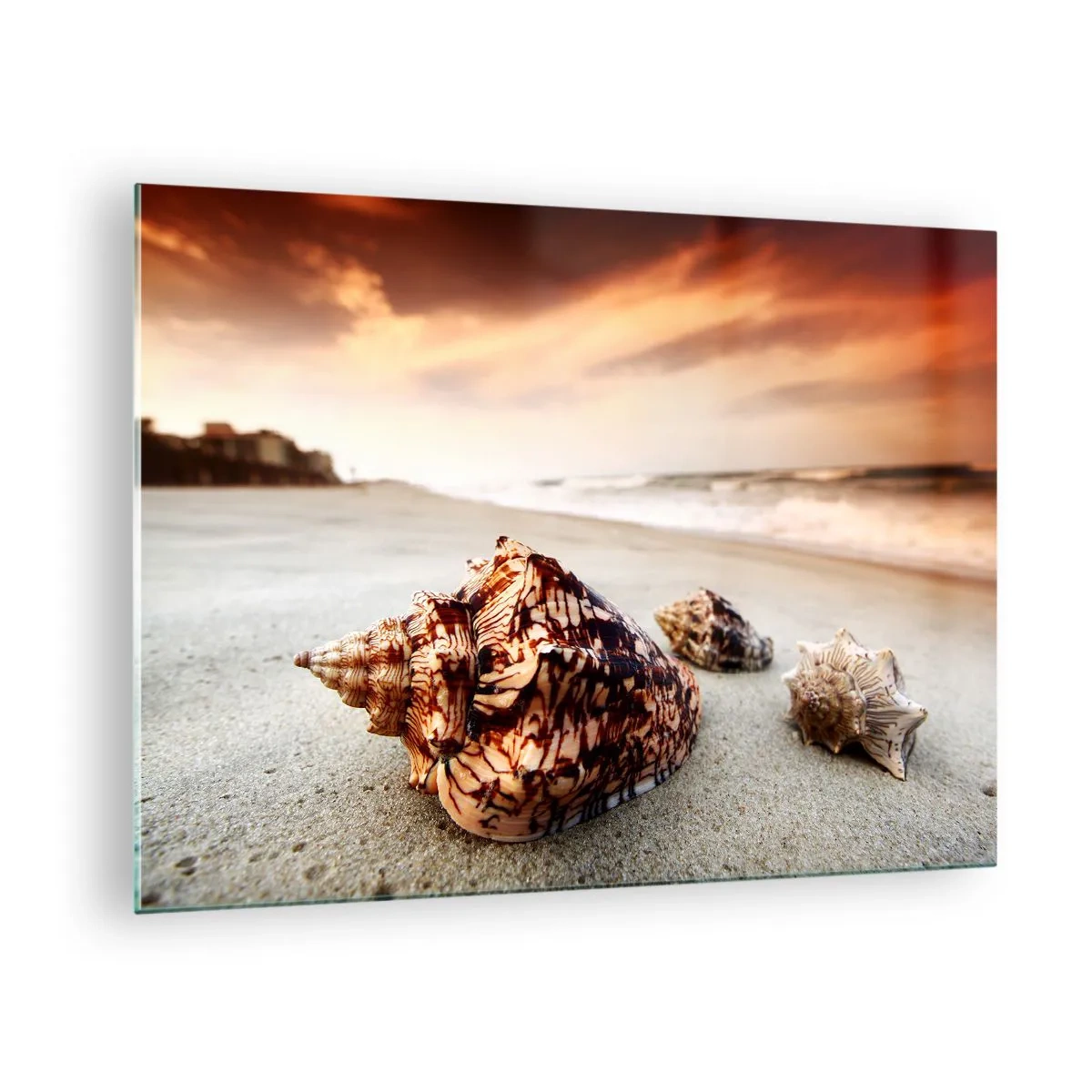 Glastavla - Bild på glas - Snäckor på stranden vid solnedgången - 70x50cm - Vågböjare - Modern väggdekoration för vardagsrum och sovrum ARTTOR