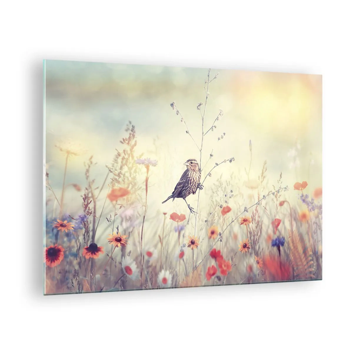 Glastavla - Bild på glas - En fågel på en blomsteräng i solskenet - 70x50cm - Fågelporträtt med en äng i bakgrunden - Modern väggdekoration för vardagsrum och sovrum ARTTOR