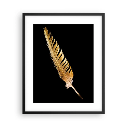 Affisch i svart ram - Fjäder... - 40x50 cm