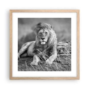 Affisch i ram av ljusek - Kunglig siesta - 40x40 cm